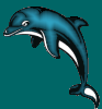 dolphin-icon-blue-back